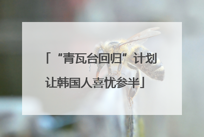 “青瓦台回归”计划让韩国人喜忧参半