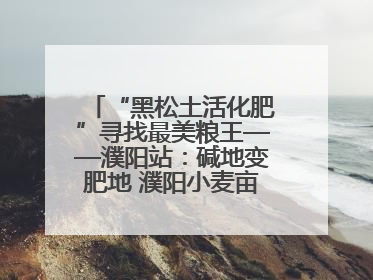 “黑松土活化肥”寻找最美粮王——濮阳站：碱地变肥地 濮阳小麦亩产1500多斤