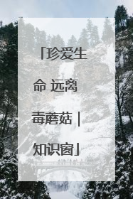 珍爱生命 远离毒蘑菇｜知识窗