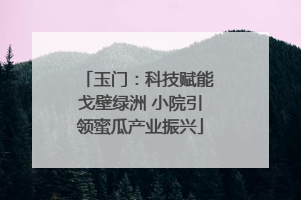 玉门：科技赋能戈壁绿洲 小院引领蜜瓜产业振兴