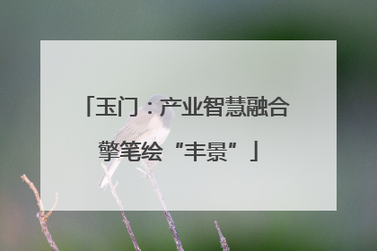玉门：产业智慧融合 擎笔绘“丰景”