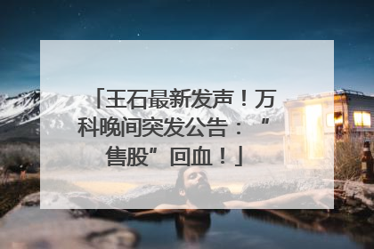王石最新发声！万科晚间突发公告：“售股”回血！