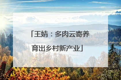 王婧：多肉云寄养 育出乡村新产业