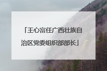 王心富任广西壮族自治区党委组织部部长