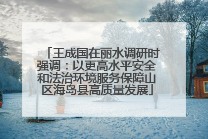 王成国在丽水调研时强调：以更高水平安全和法治环境服务保障山区海岛县高质量发展