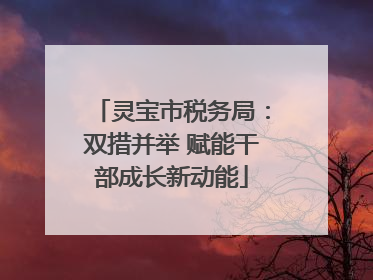 灵宝市税务局：双措并举 赋能干部成长新动能