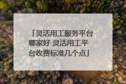 灵活用工服务平台哪家好 灵活用工平台收费标准几个点