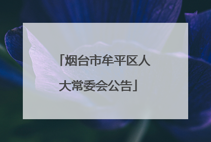 烟台市牟平区人大常委会公告