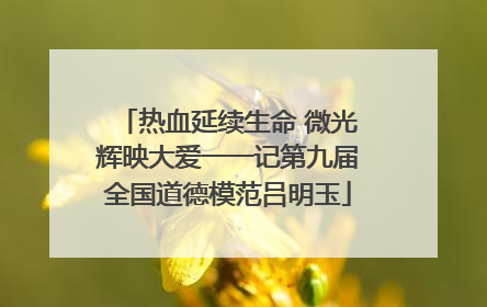 热血延续生命 微光辉映大爱一一记第九届全国道德模范吕明玉