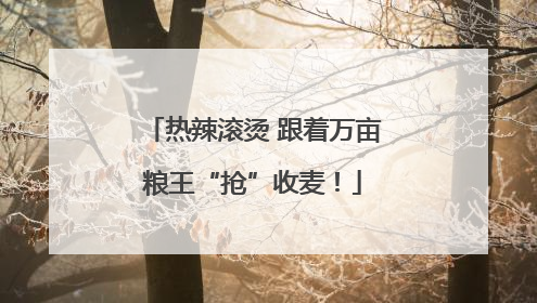 热辣滚烫 跟着万亩粮王“抢”收麦！
