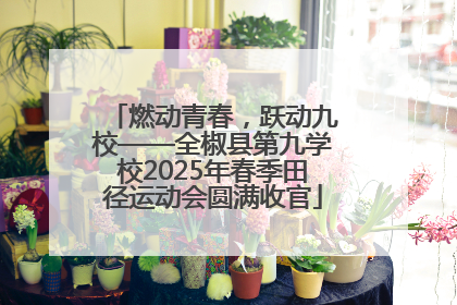 燃动青春，跃动九校——全椒县第九学校2025年春季田径运动会圆满收官