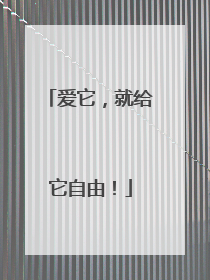 爱它，就给它自由！