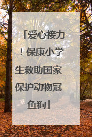 爱心接力！保康小学生救助国家保护动物冠鱼狗