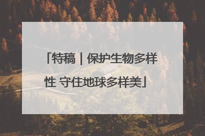 特稿｜保护生物多样性 守住地球多样美