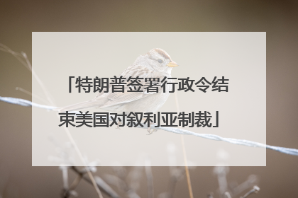 特朗普签署行政令结束美国对叙利亚制裁