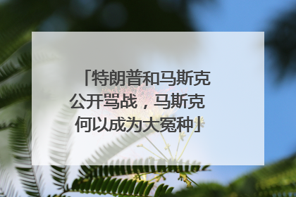 特朗普和马斯克公开骂战，马斯克何以成为大冤种