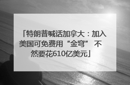 特朗普喊话加拿大：加入美国可免费用“金穹” 不然要花610亿美元