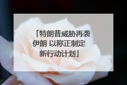 特朗普威胁再袭伊朗 以称正制定新行动计划
