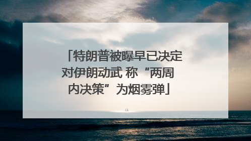 特朗普被曝早已决定对伊朗动武 称“两周内决策”为烟雾弹