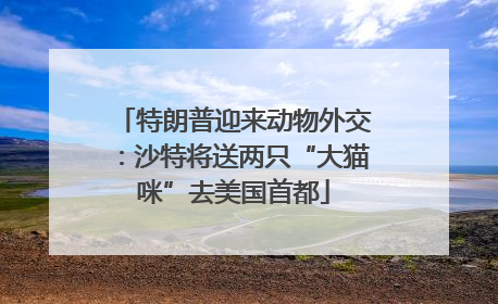 特朗普迎来动物外交：沙特将送两只“大猫咪”去美国首都