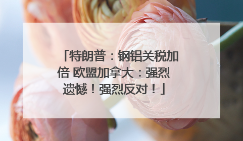 特朗普：钢铝关税加倍 欧盟加拿大：强烈遗憾！强烈反对！