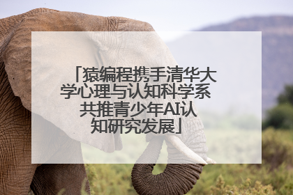 猿编程携手清华大学心理与认知科学系 共推青少年AI认知研究发展
