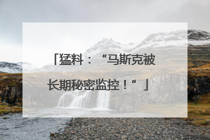 猛料：“马斯克被长期秘密监控！”