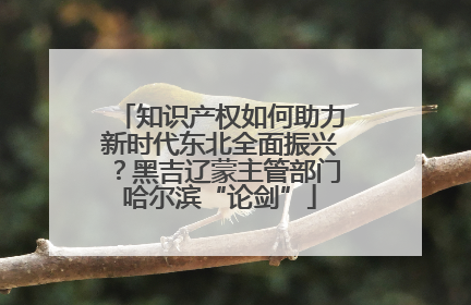 知识产权如何助力新时代东北全面振兴？黑吉辽蒙主管部门哈尔滨“论剑”