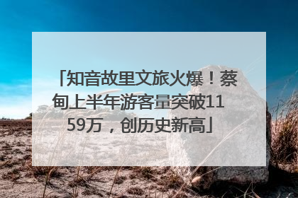 知音故里文旅火爆！蔡甸上半年游客量突破1159万，创历史新高