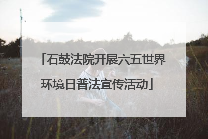 石鼓法院开展六五世界环境日普法宣传活动