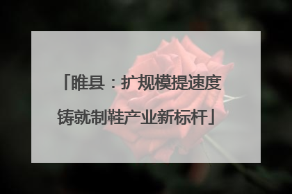 睢县：扩规模提速度 铸就制鞋产业新标杆