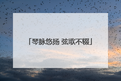 琴脉悠扬 弦歌不辍