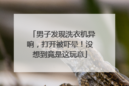 男子发现洗衣机异响，打开被吓晕！没想到竟是这玩意