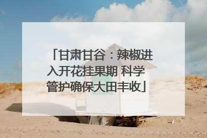 甘肃甘谷：辣椒进入开花挂果期 科学管护确保大田丰收