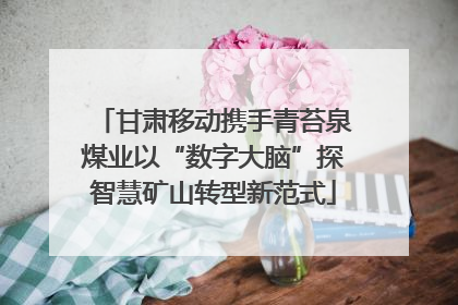 甘肃移动携手青苔泉煤业以“数字大脑”探智慧矿山转型新范式