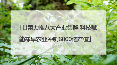 甘肃力推八大产业集群 科技赋能寒旱农业冲刺6000亿产值