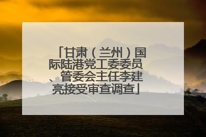 甘肃（兰州）国际陆港党工委委员、管委会主任李建亮接受审查调查