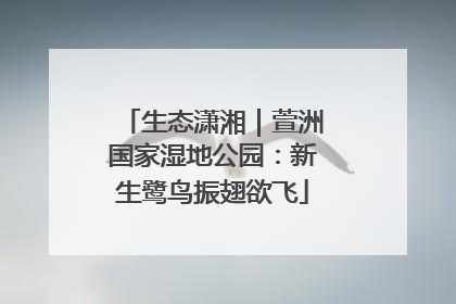 生态潇湘｜萱洲国家湿地公园：新生鹭鸟振翅欲飞