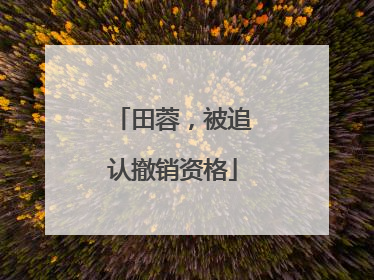 田蓉，被追认撤销资格