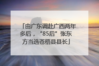 由广东调赴广西两年多后，“85后”张东方当选苍梧县县长