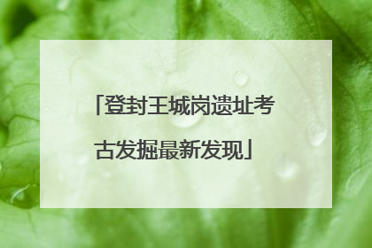 登封王城岗遗址考古发掘最新发现