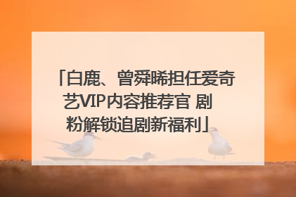 白鹿、曾舜晞担任爱奇艺VIP内容推荐官 剧粉解锁追剧新福利