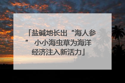 盐碱地长出“海人参” 小小海虫草为海洋经济注入新活力