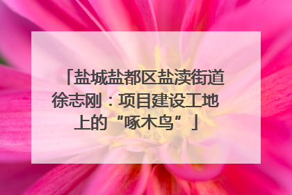 盐城盐都区盐渎街道徐志刚：项目建设工地上的“啄木鸟”