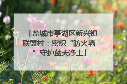 盐城市亭湖区新兴镇联盟村：密织“防火墙”守护蓝天净土