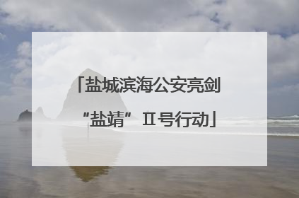 盐城滨海公安亮剑“盐靖”Ⅱ号行动