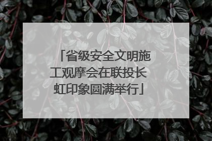 省级安全文明施工观摩会在联投长虹印象圆满举行
