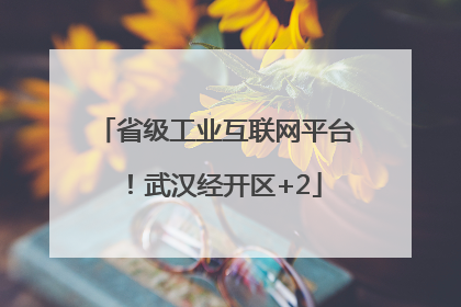 省级工业互联网平台！武汉经开区+2