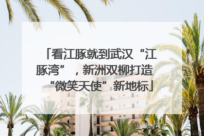 看江豚就到武汉“江豚湾”,新洲双柳打造“微笑天使”新地标