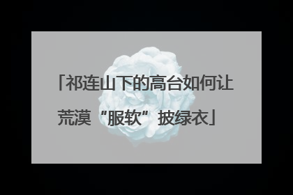 祁连山下的高台如何让荒漠“服软”披绿衣